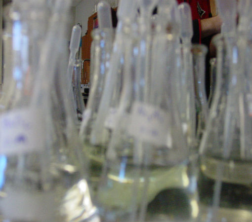 Lots of chemicals to test!!!!!!!!!!!!!!!!!!!